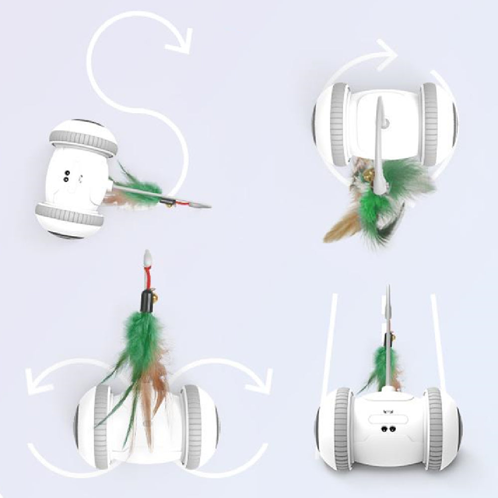 Interchangeable Heads  Pet Feather Toys