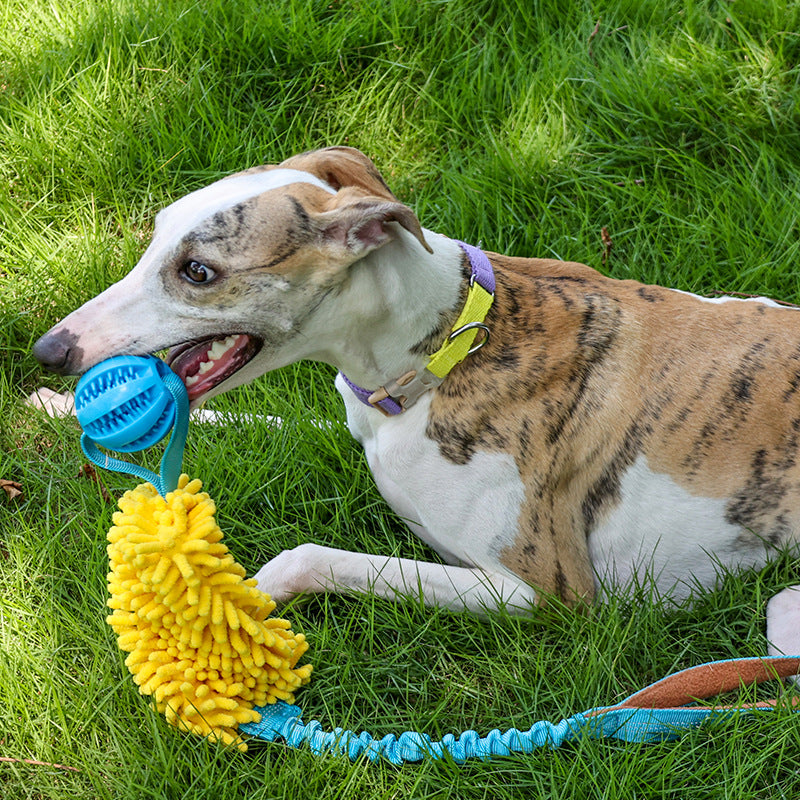 Bite-resistant Tug-of-war Pet Toy
