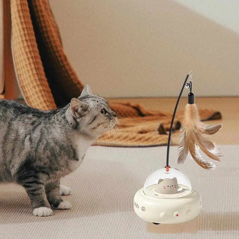 Interactive Toy Pet Toys With Feather