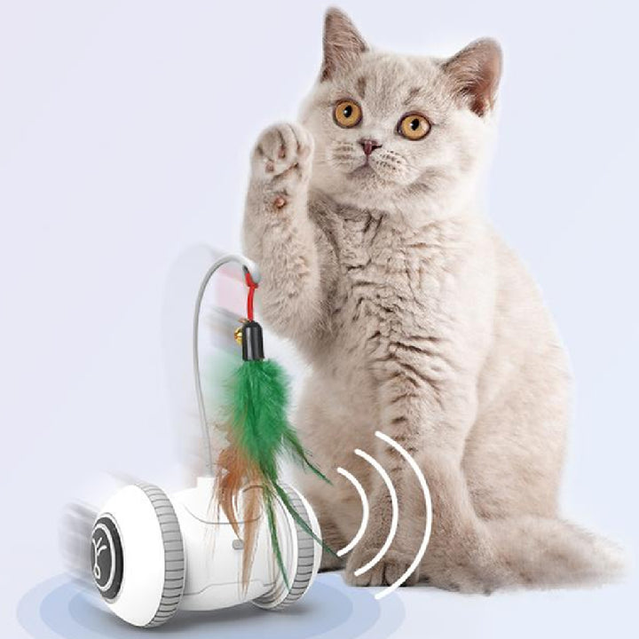 Interchangeable Heads  Pet Feather Toys